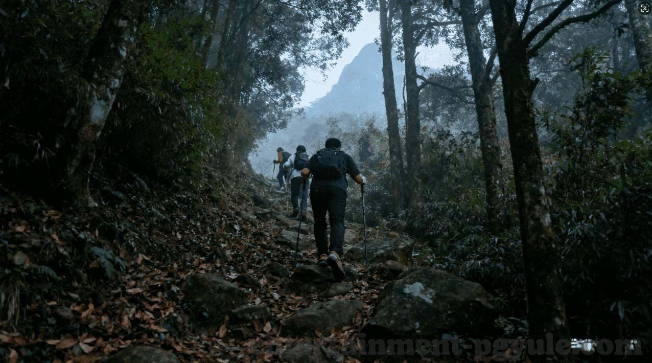 世界杯队伍的队徽-世界杯队伍的队徽，独特设计与历史传承的缩影